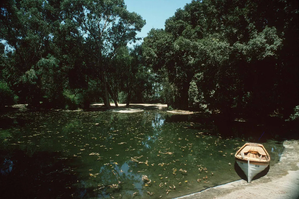 Warner Bros Jungle 02