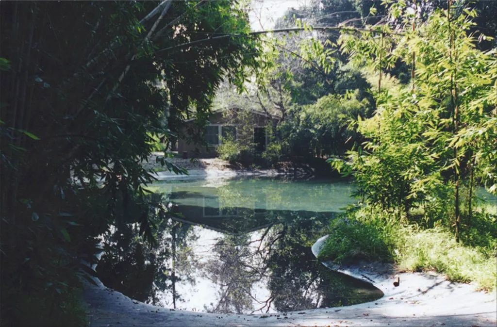 Warner Bros Jungle 03