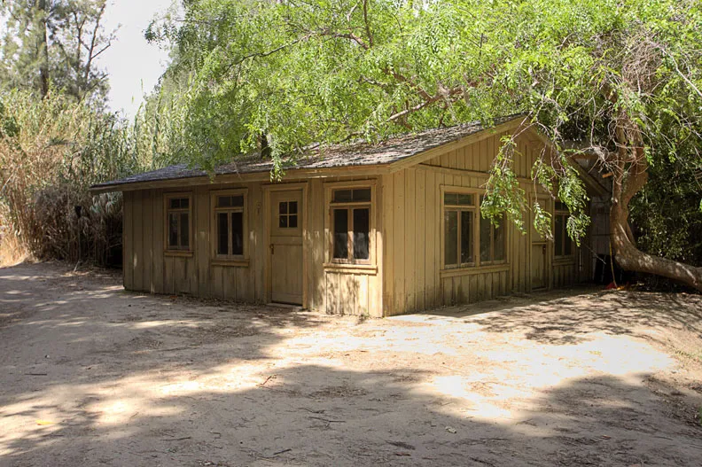 Warner Bros Jungle 04