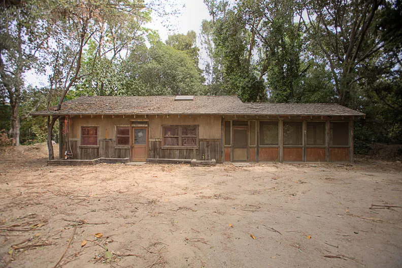 Warner Bros Jungle 05