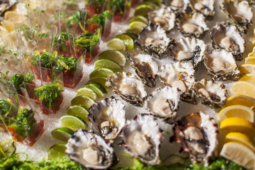 Vintage Hollywood 08